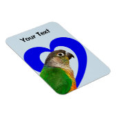 Liebe dieses Conure Magnet (Rechte Seite)