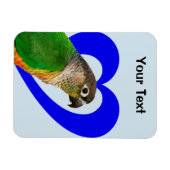 Liebe dieses Conure Magnet (Horizontal)