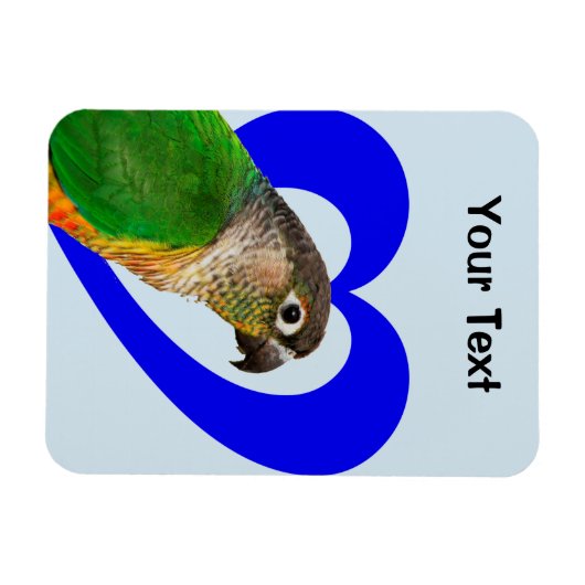 Liebe dieses Conure Magnet (Horizontal)