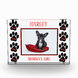 Liebe Dog Paws Horizontaler Blockblock Fotoblock