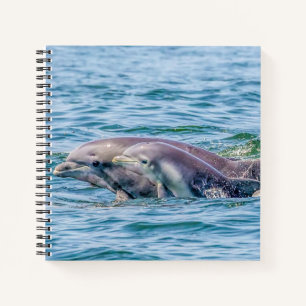 Liebe Dolphin & Baby Notebook Notizblock