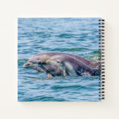 Liebe Dolphin & Baby Notebook Notizblock (Rückseite)