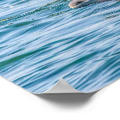 Liebe Dolphin & Baby Poster (Ecke)