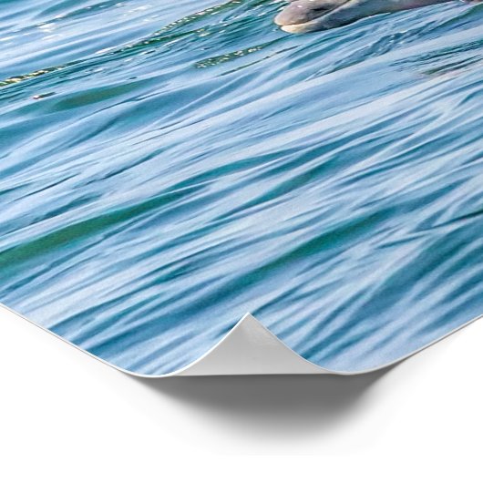 Liebe Dolphin & Baby Poster (Ecke)