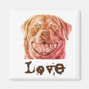Liebe drehen magnet