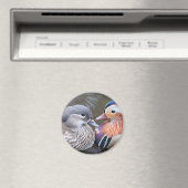 Liebe Ducks Magnet (In Situ (Geschirrspüler))