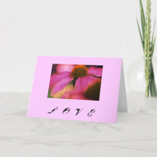 ‚Liebe Echinacea‘ Feiertagskarte