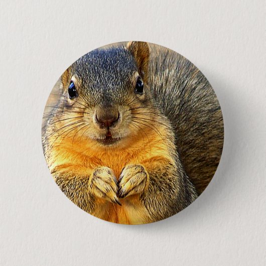 Liebe Eichhörnchen_ Button (Vorderseite)