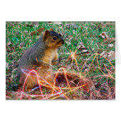 Liebe Eichhörnchen Sparkler (Vorderseite (Horizontal))