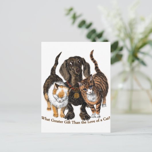 Liebe einer Katze Postkarte (Stehend Vorderseite)