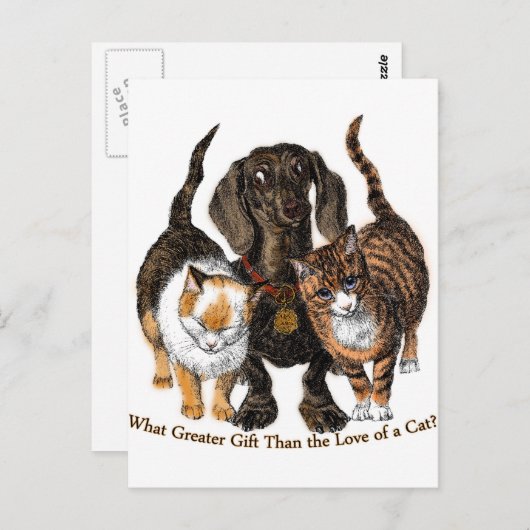 Liebe einer Katze Postkarte (Vorne/Hinten)