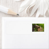 Liebe einer Mutter (Insitu)