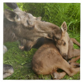 Liebe einer Mutter Fliese (Vorderseite)