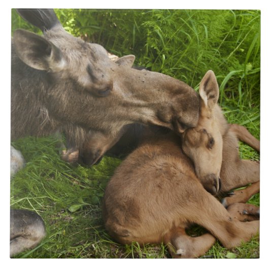 Liebe einer Mutter Fliese (Vorderseite)