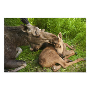 Liebe einer Mutter Fotodruck
