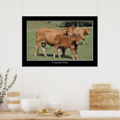Liebe einer Mutter, Kuh leckt ihr Kalb Poster (Küche)