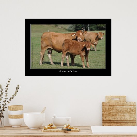 Liebe einer Mutter, Kuh leckt ihr Kalb Poster (Küche)