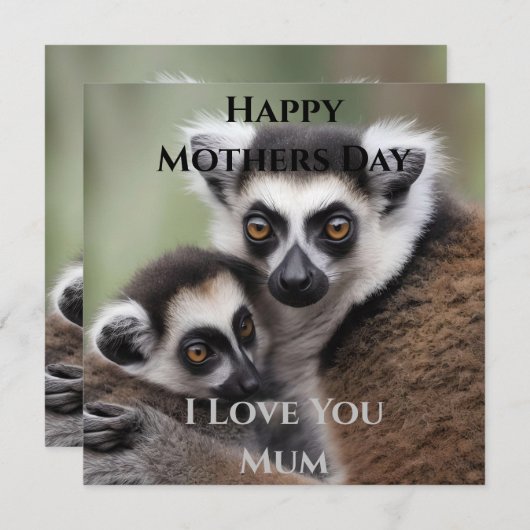 **"Liebe einer Mutter: Mama und Baby Lemur Cuddlin (Vorne/Hinten)