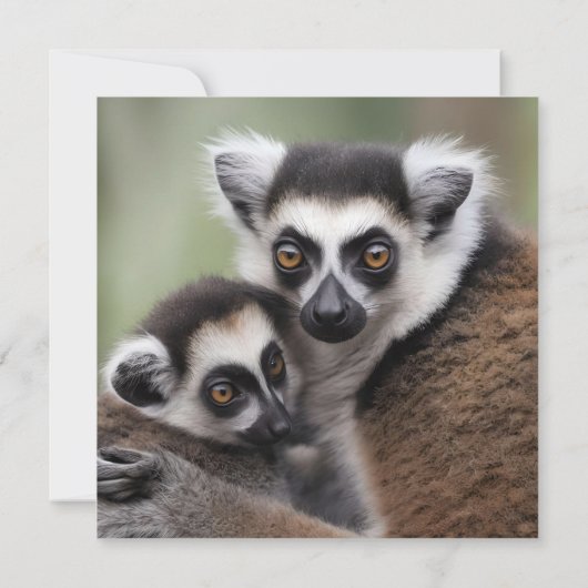 **"Liebe einer Mutter: Mama und Baby Lemur Cuddlin (Rückseite)