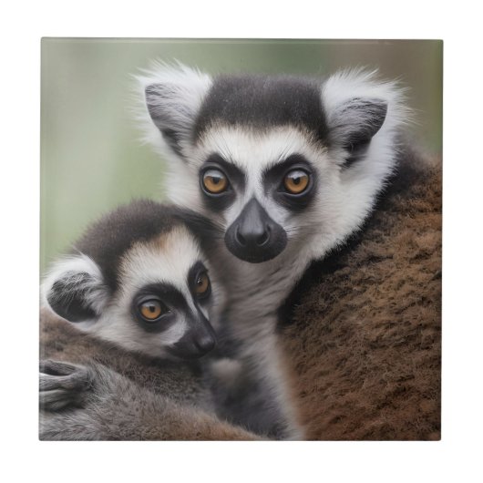 **"Liebe einer Mutter: Mama und Baby Lemur Cuddlin Fliese (Vorderseite)