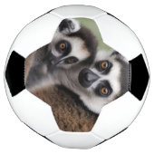 **"Liebe einer Mutter: Mama und Baby Lemur Cuddlin Fußball (Gedreht)