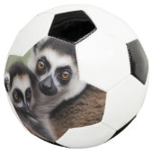 **"Liebe einer Mutter: Mama und Baby Lemur Cuddlin Fußball (Dreiviertel)