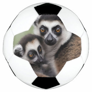 **"Liebe einer Mutter: Mama und Baby Lemur Cuddlin Fußball
