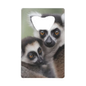 **"Liebe einer Mutter: Mama und Baby Lemur Cuddlin Geldbeutel Flaschenöffner (Vorderseite)