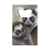 **"Liebe einer Mutter: Mama und Baby Lemur Cuddlin Geldbeutel Flaschenöffner (Rückseite)