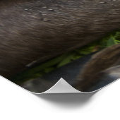 Liebe einer Mutter Poster (Ecke)