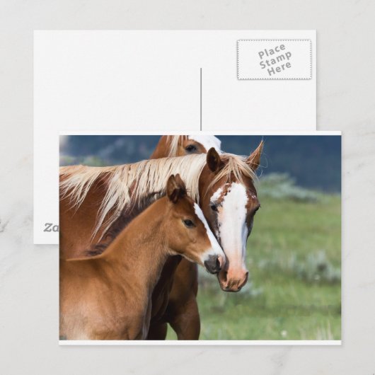 Liebe einer Mutter Postkarte (Vorne/Hinten)