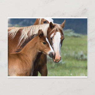 Liebe einer Mutter Postkarte