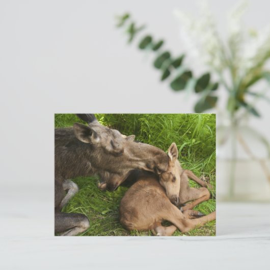 Liebe einer Mutter Postkarte (Stehend Vorderseite)