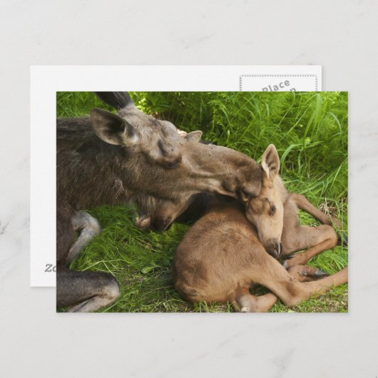 Liebe einer Mutter Postkarte (Vorne/Hinten)