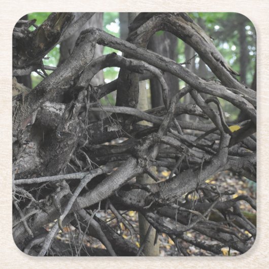 Liebe eines gefallenen Baumes Rechteckiger Pappuntersetzer (Vorderseite)