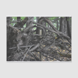 Liebe eines gefallenen Baumes Seidenpapier