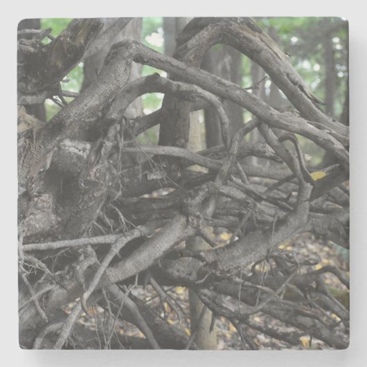 Liebe eines gefallenen Baumes Steinuntersetzer (Vorderseite)