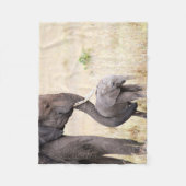 Liebe Elefant Baby Foto Fleecedecke (Vorderseite)