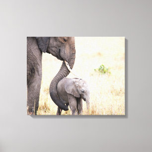 Liebe Elefant Baby Foto Leinwanddruck