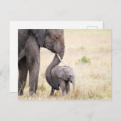 Liebe Elefant Baby Foto Postkarte (Vorne/Hinten)