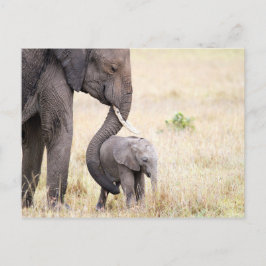 Liebe Elefant Baby Foto Postkarte