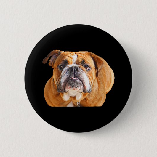 Liebe-englisches Bulldoggen-Hundegesicht - Button (Vorderseite)