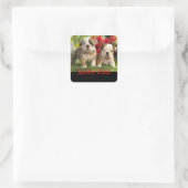 Liebe English Bulldog Puppy Dog Grußaufkleber Quadratischer Aufkleber (Tasche)