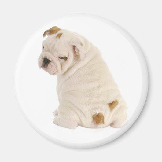 Liebe English Bulldog Puppy Dog Magnet (Vorne)