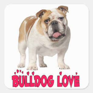 Liebe English Bulldog Welpe Hund Aufkleber / Siege