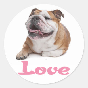 Liebe English Bulldog Welpe Hund Herz Aufkleber
