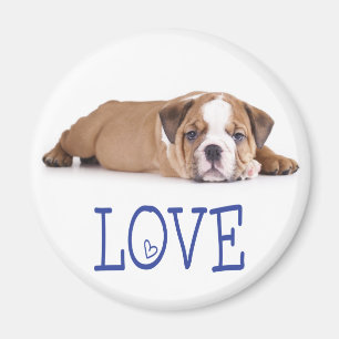 Liebe English Bulldog Welpe Hund Magnet