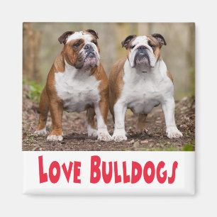 Liebe English Bulldog Welpe Hund Magnet