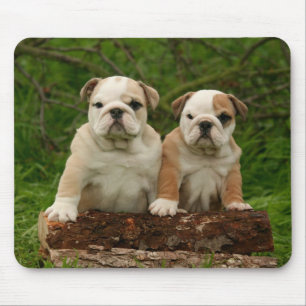 Liebe English Bulldog Welpe Hund Mauspad