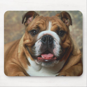 Liebe English Bulldog Welpe Hund Portrait Mauspad